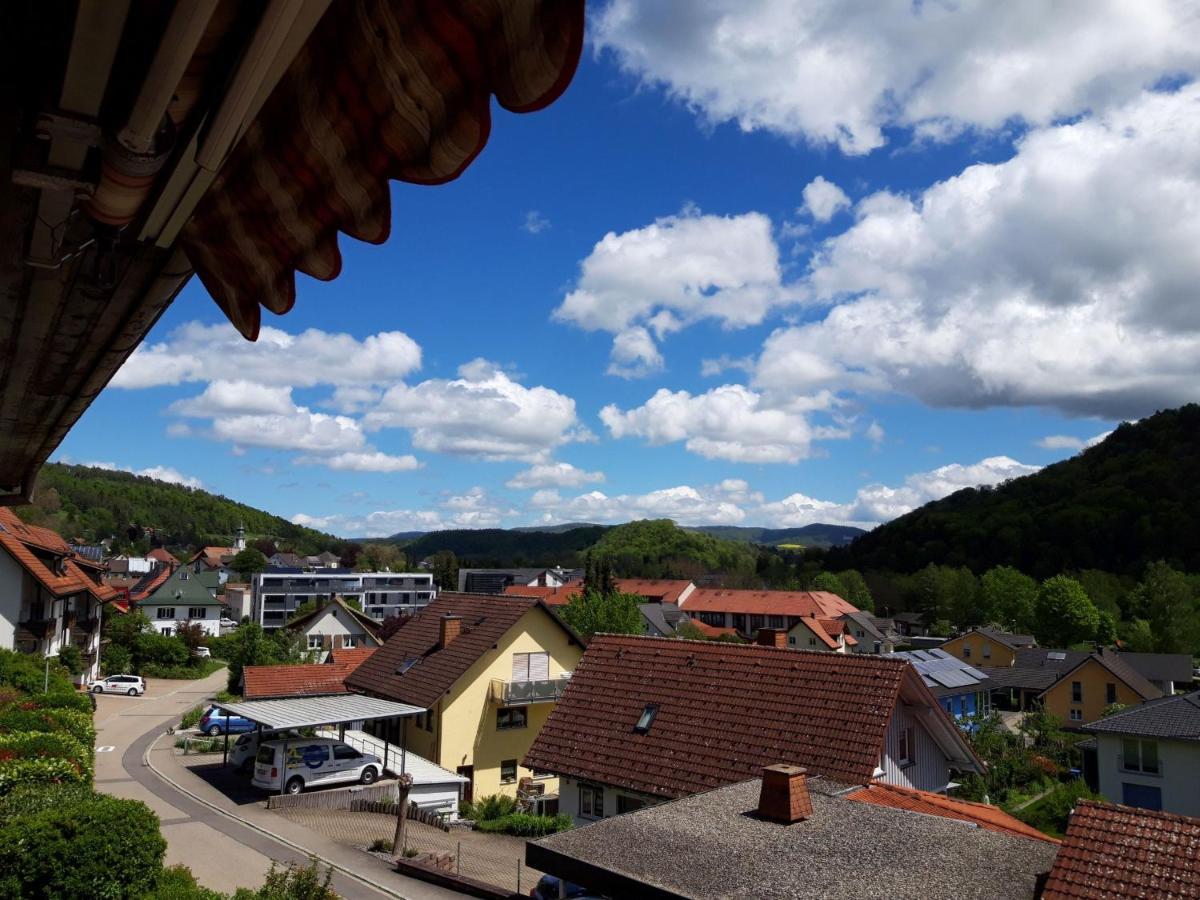 Ferienwohnung Pia Stuhlingen Bagian luar foto